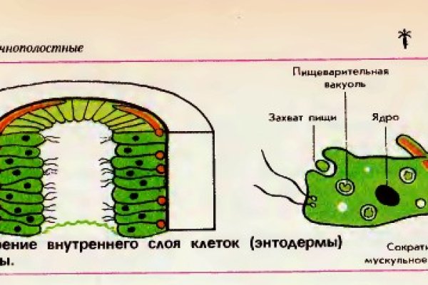 Кракен актуальное зеркало