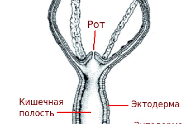 Вход на кракен kraken 11 store