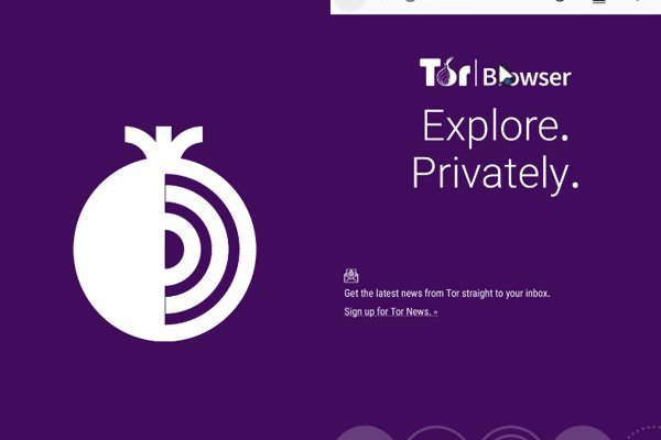 Kraken tor ссылка онлайн